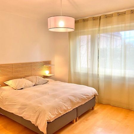 Appart 2Parkings, 2Min Petitevenise-Xmarche Colmar Extérieur photo